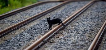 Supersticiones buena y mala suerte